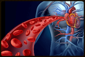 Image Title My Image