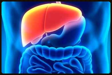 Image Title My Image